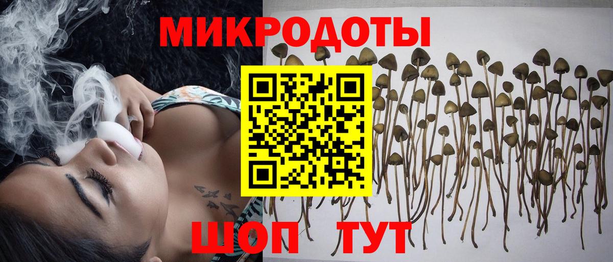 Фрязино  Галлюциногенные грибы мухоморы  Вход с VPN  где купить наркоту  Псилоцибиновые грибы Psilocybe 