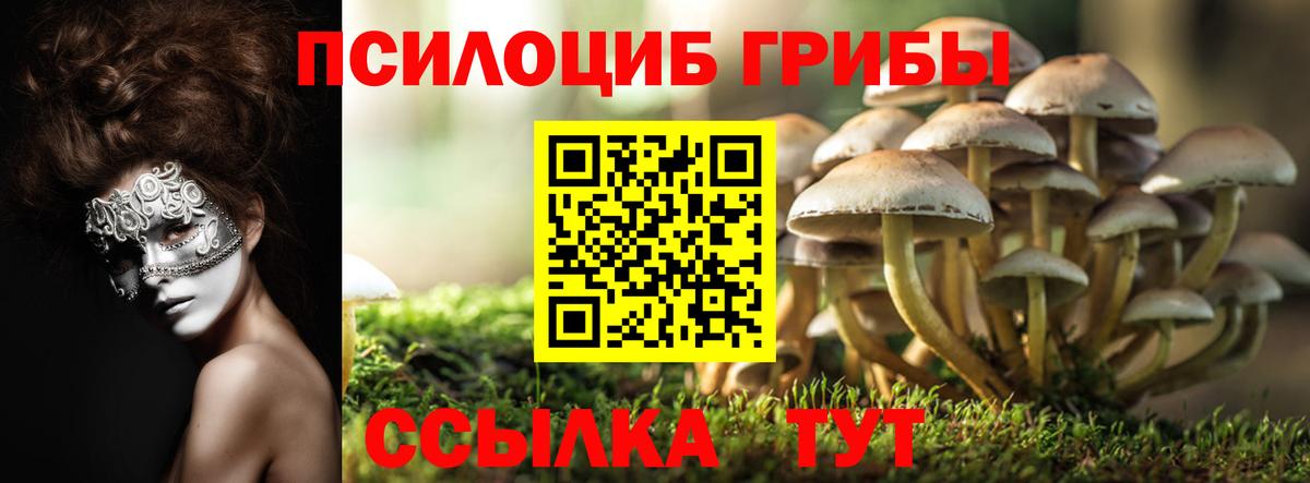 Псилоцибиновые грибы мицелий Фрязино